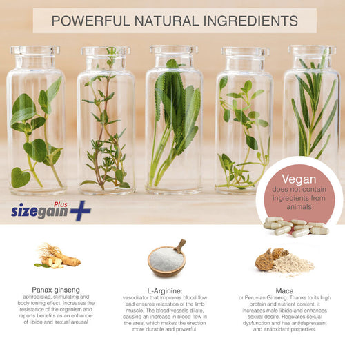 SizeGain Plus 500 Cosmetics, complément alimentaire pour homme, 30 comprimés
